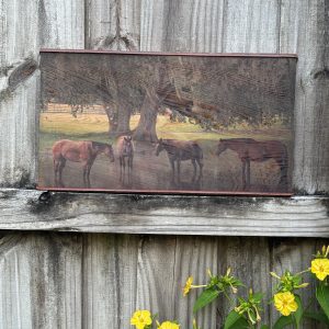 Horses