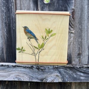 Eastern Bluebirds and their visitor friends...