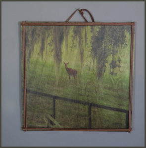 ef-deer